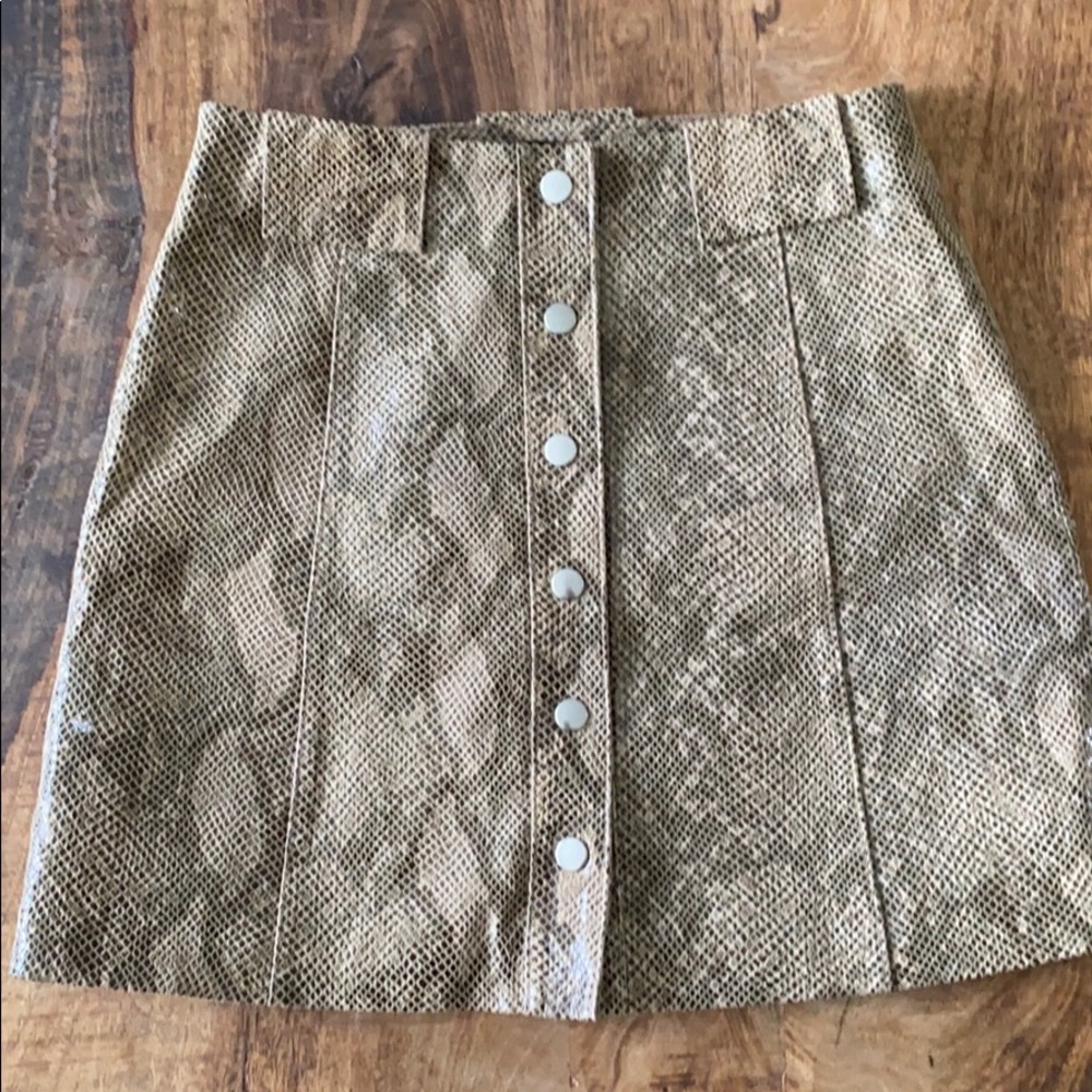 Zara Snakeskin Skirt